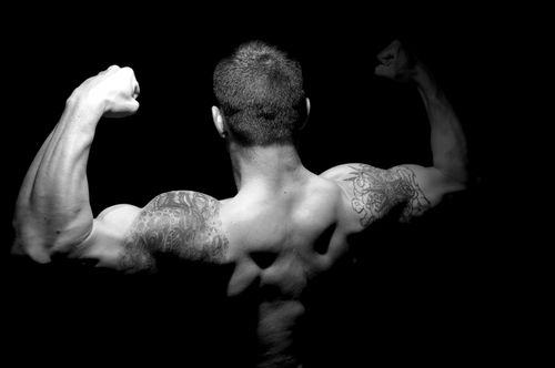Curso de Undecanoato de Testosterona: Todo lo que Necesitas Saber Curso de Undecanoato de Testosterona: Todo lo que Necesitas Saber